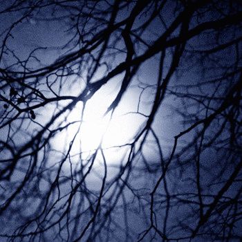 Vemod (NOR-1) : Vi er Natten